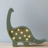 Handmade Small Dinosaur Lamp