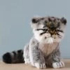 Hansa Pallas Kitten Stuffed Animal