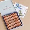 Stockmar Triangular Coloured Pencil Set - 12