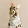 Hansa Leopard Cat Puppet